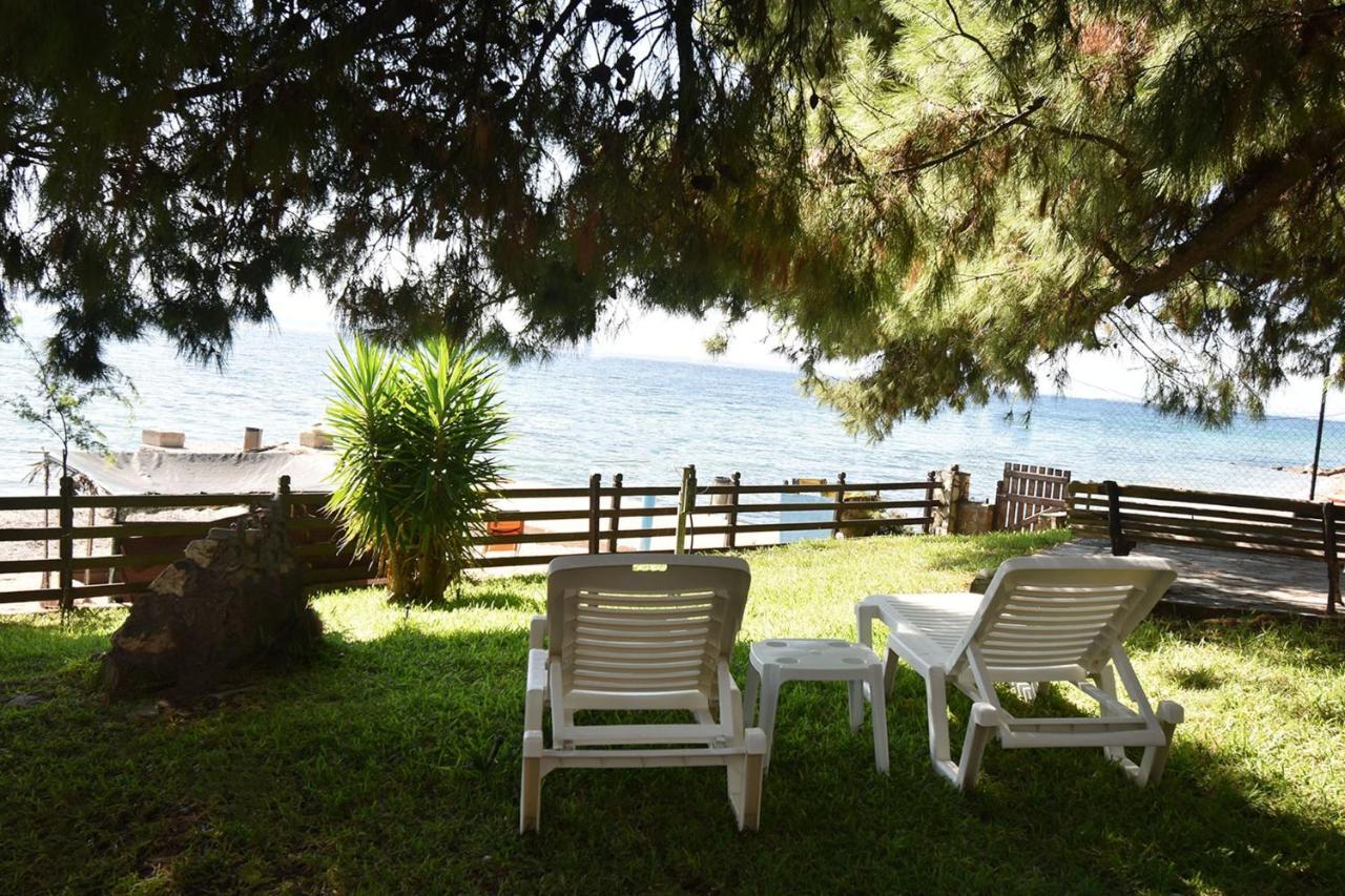 Barlee Beach Front House, Metamorfosi Luaran gambar